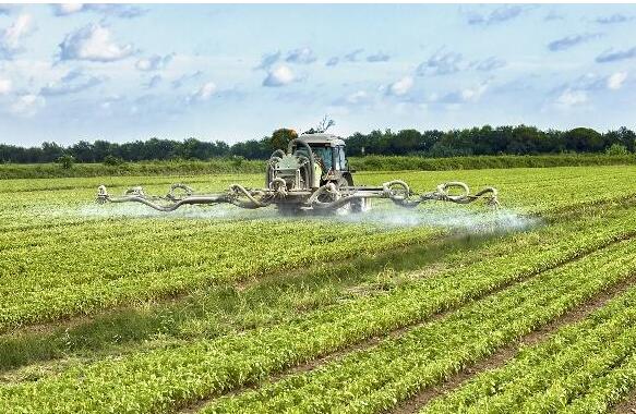 <a href=http://m.fliange.cn/mcy/ target=_blank class=infotextkey>木醋液</a>